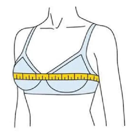 guide on how to measure bust size